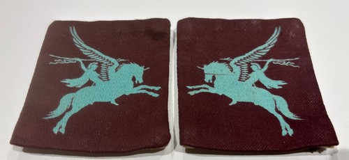 Genuine pair airborne pegasus - genuine,