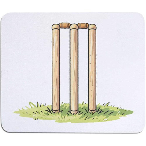 Cricket posts mouse - 'cricket, /