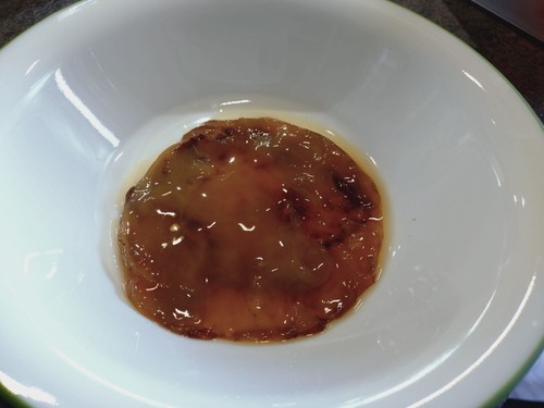 Kombucha scoby starter - scoby,