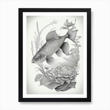 Tancho Koi 1, Fish Haeckel