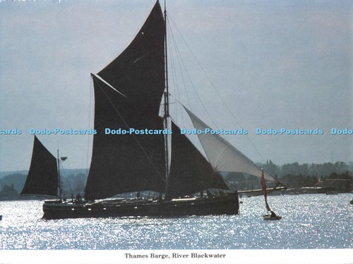 D109524 thames barge - thames, barge.