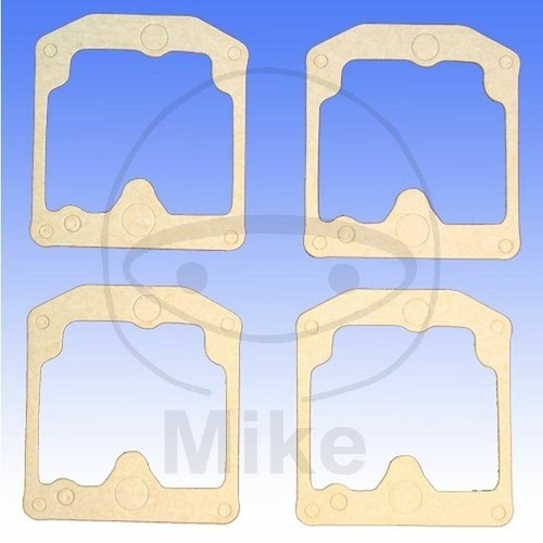 Set gaskets float - gaskets, bowl