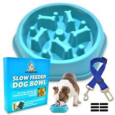 Slow Feeder Dog Bowl Large Pet Anti Bloat Gulp Interactive Puppy Cat Feed Dish
