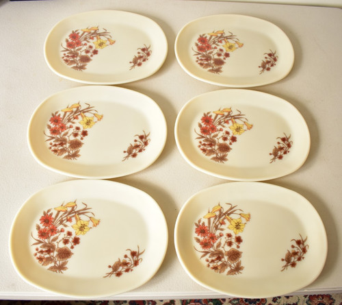 Vintage pyrex harvest spray - pyrex,