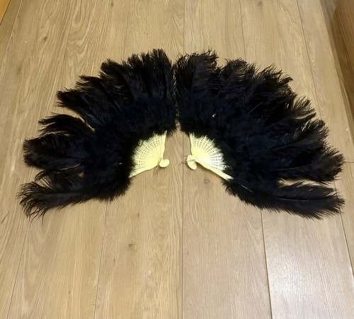Pair black ostrich feather - pair,