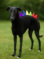 Full Size Greyhound Fleece