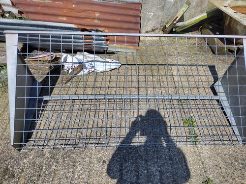 Galvanized sheep cow hay - galvanized,
