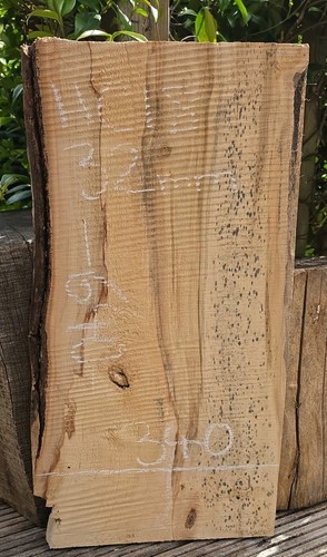 Spalted chestnut live edge - chestnut,