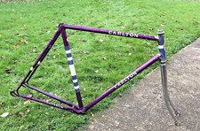 VINTAGE CARLTON CRITERIUM