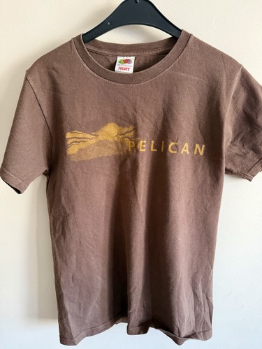 Vintage pelican band shirt - pelican,