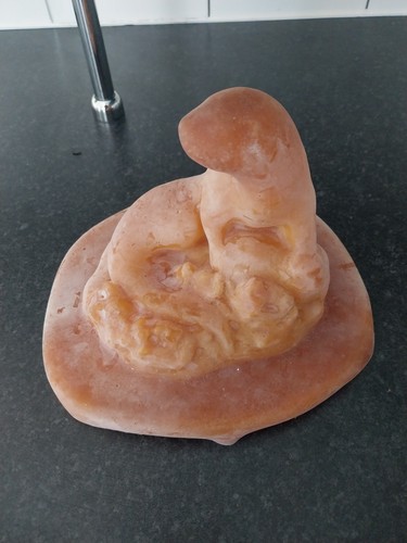 Latex mould otter - mould,