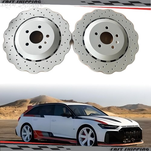 Performance rear drilled - 2x,