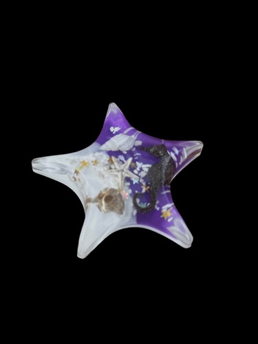 Magnet star shape sea life - star,