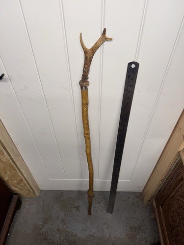 Vintage hazel wood walking - wood,