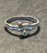 Sheila Fleet Silver River