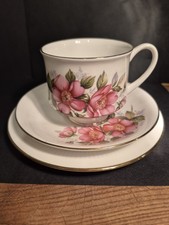 Paragon 'Prairie Rose' Bone