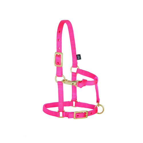 Weaver leather mini horse - weaver,