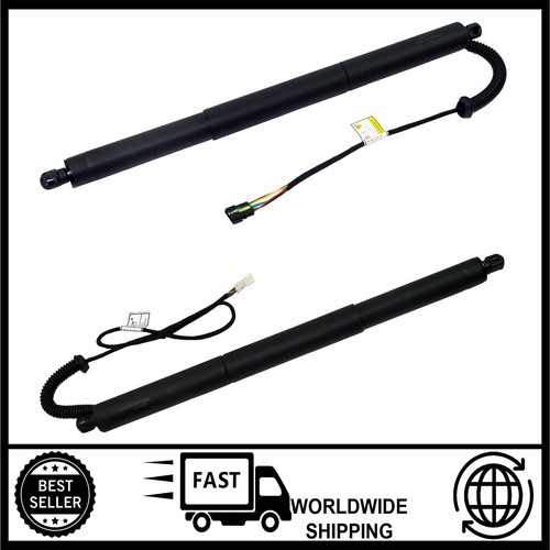 Electric tailgate gas - electric,