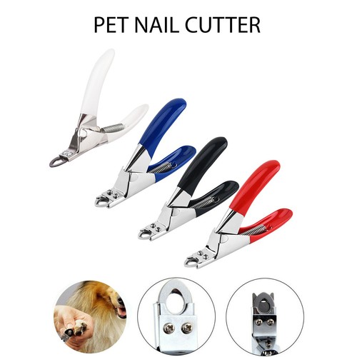 Dog nail clippers pet - nail,