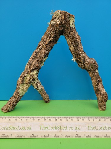 Cork bark branch - bark,