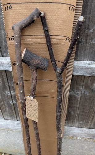 Blackthorn walking sticks - blackthorn,