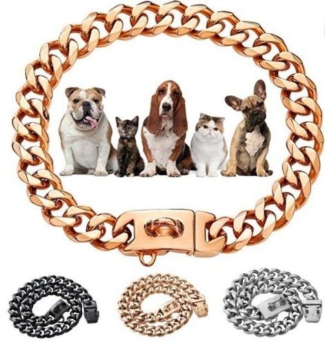 Large dog chain - dog, collar