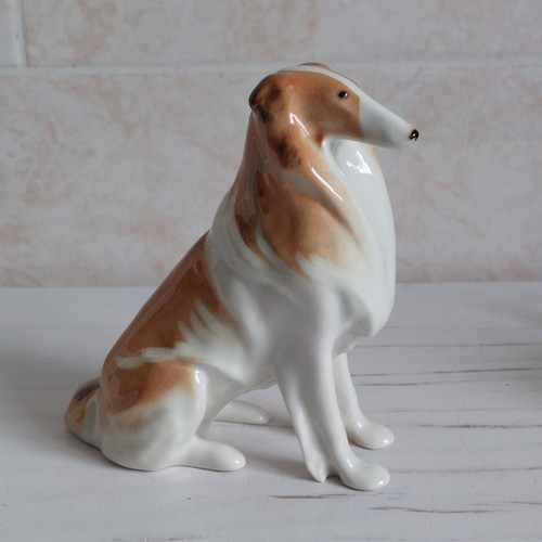 Lomonosov lfz collie dog - lomonosov,