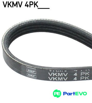 Skf ribbed belt vkmv4pk820 - belt,