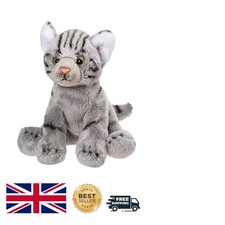 Adorable Yomiko Grey Tabby