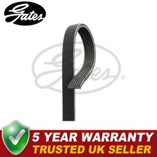 Gates V-Ribbed Belts Fits VW