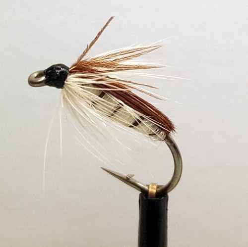 Corixa nymph fly - 3, x