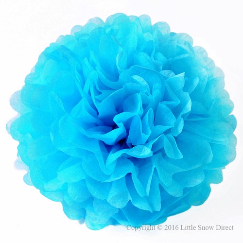 Tissue paper pompoms - tissue,