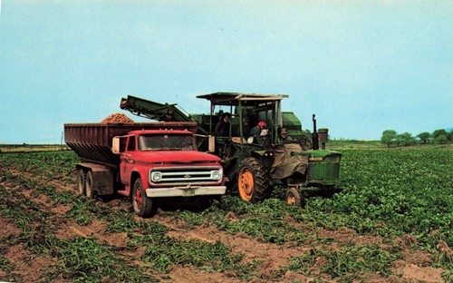 Aroostook county maine - county, potato