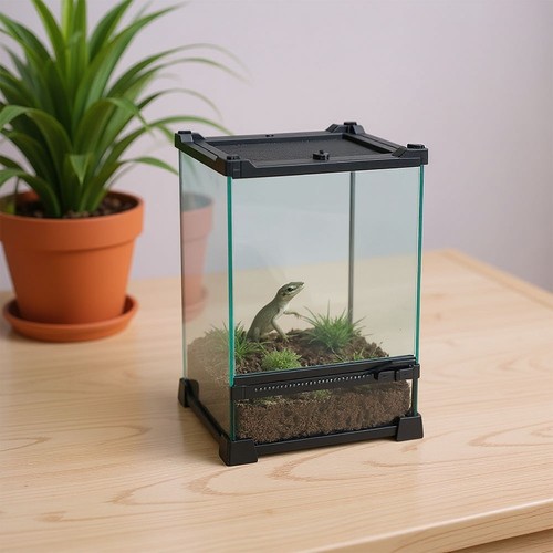 Glass reptile terrarium - reptile,