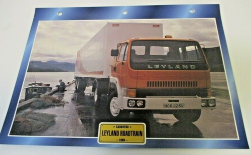 Trucks maxi card - trucks,