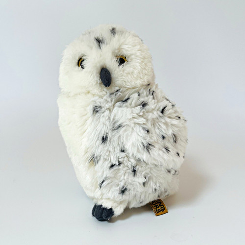 Living nature snowy owl - nature,