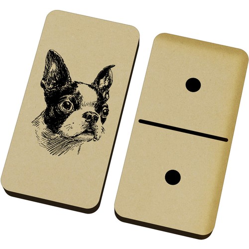 Boston terrier portrait - 'boston, portrait'