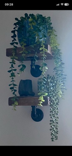 Wooden display shelf - display,