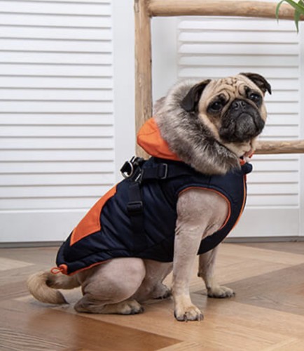 Puppia orson dog coat navy - puppia,