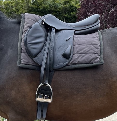 Saddle
