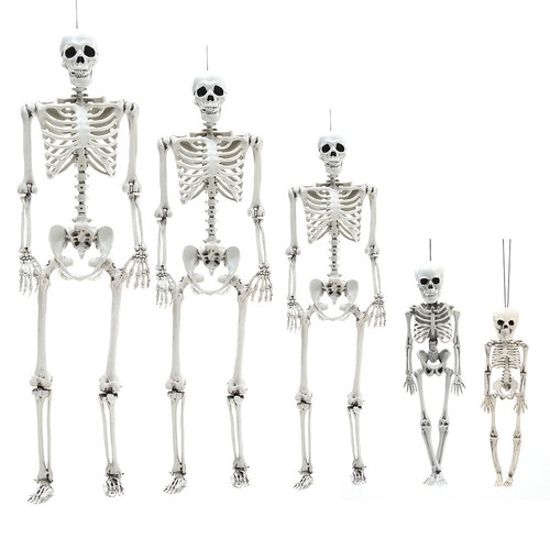 Halloween real life - halloween, size