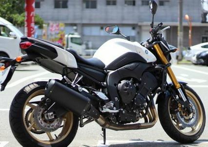 Yamaha fz8 2013 damper - damper, 3