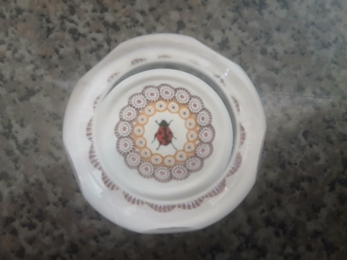 Caithness paperweight ladybird
