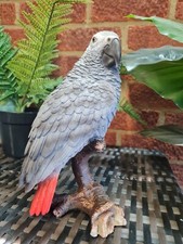Vivid Arts AFRICAN GREY