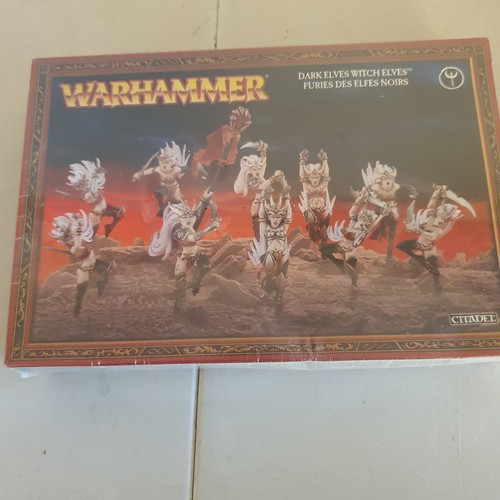 Dark elves witch - elves,
