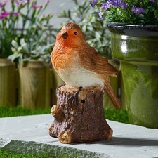 Singing Robin on Stump Highly