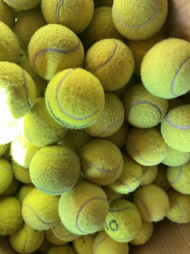 Used tennis balls your - 30,