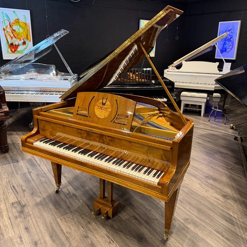 Regy paris baby grand - regy,