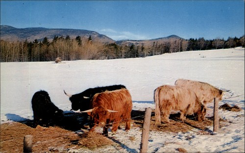 Stowe trapp family lodge - stowe,