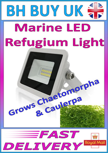 Marine refugium led - refugium, light